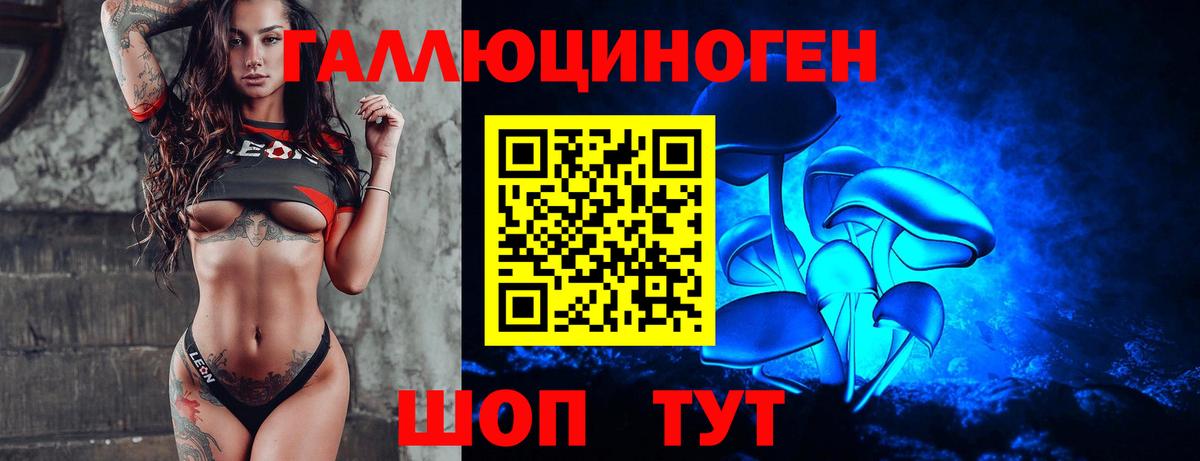Псилоцибиновые грибы GOLDEN TEACHER  Псилоцибиновые грибы ЛСД  наркошоп  Вход с VPN  Торжок 